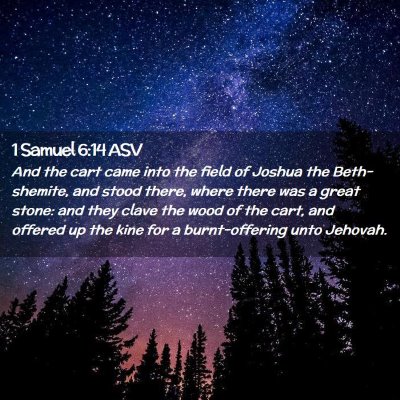 Picture 02 - 1 Samuel 6:14 ASV - And the cart came into the field of Joshua the - Bible Verse Picture