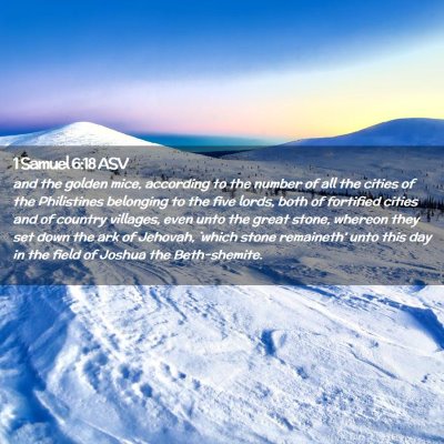 Picture 02 - 1 Samuel 6:18 ASV - and the golden mice, according to the number of - Bible Verse Picture
