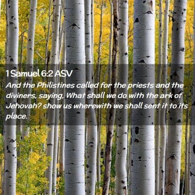 Picture 02 - 1 Samuel 6:2 ASV - And the Philistines called for the priests and - Bible Verse Picture