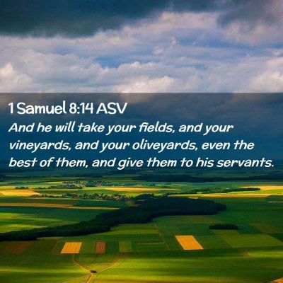 Picture 02 - 1 Samuel 8:14 ASV - And he will take your fields, and your vineyards, - Bible Verse Picture