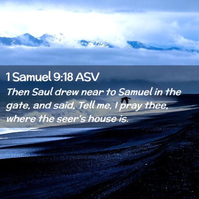 Picture 02 - 1 Samuel 9:18 ASV - Then Saul drew near to Samuel in the gate, and - Bible Verse Picture