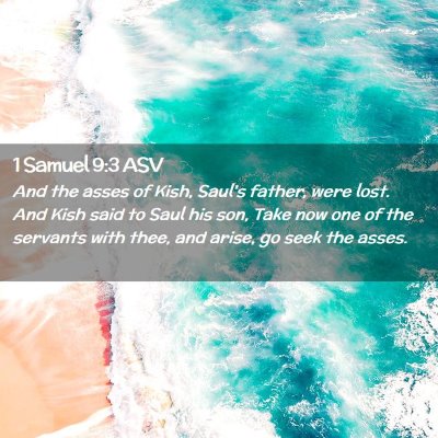 Picture 02 - 1 Samuel 9:3 ASV - And the asses of Kish, Saul's father, were lost. - Bible Verse Picture