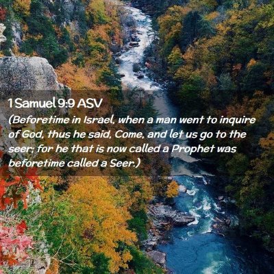 Picture 02 - 1 Samuel 9:9 ASV - (Beforetime in Israel, when a man went to inquire - Bible Verse Picture