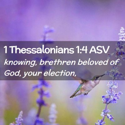 Picture 02 - 1 Thessalonians 1:4 ASV - knowing, brethren beloved of God, your - Bible Verse Picture