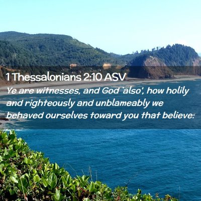 Picture 02 - 1 Thessalonians 2:10 ASV - Ye are witnesses, and God `also', how holily and - Bible Verse Picture