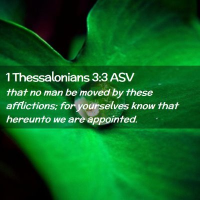Picture 02 - 1 Thessalonians 3:3 ASV - that no man be moved by these afflictions; for - Bible Verse Picture