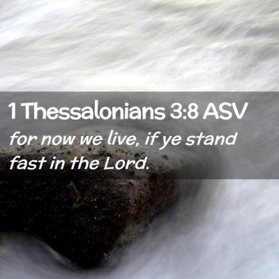 Picture 02 - 1 Thessalonians 3:8 ASV - for now we live, if ye stand fast in the - Bible Verse Picture