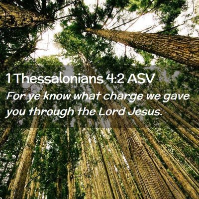 Picture 02 - 1 Thessalonians 4:2 ASV - For ye know what charge we gave you through the - Bible Verse Picture