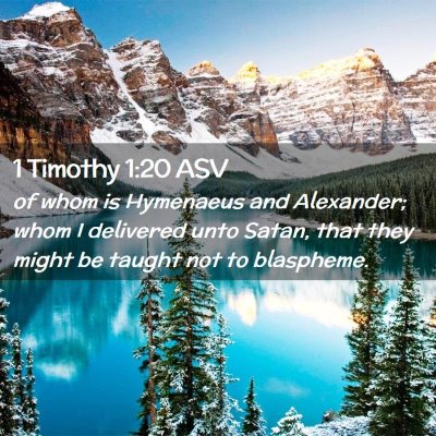 Picture 02 - 1 Timothy 1:20 ASV - of whom is Hymenaeus and Alexander; whom I - Bible Verse Picture