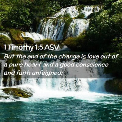 Picture 02 - 1 Timothy 1:5 ASV - But the end of the charge is love out of a pure - Bible Verse Picture