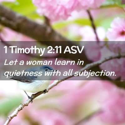 Picture 02 - 1 Timothy 2:11 ASV - Let a woman learn in quietness with all - Bible Verse Picture