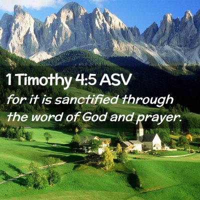 Picture 02 - 1 Timothy 4:5 ASV - for it is sanctified through the word of God and - Bible Verse Picture