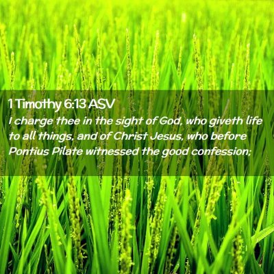 Picture 02 - 1 Timothy 6:13 ASV - I charge thee in the sight of God, who giveth - Bible Verse Picture