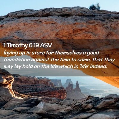 Picture 02 - 1 Timothy 6:19 ASV - laying up in store for themselves a good - Bible Verse Picture