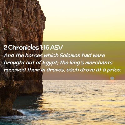 Picture 02 - 2 Chronicles 1:16 ASV - And the horses which Solomon had were brought out - Bible Verse Picture