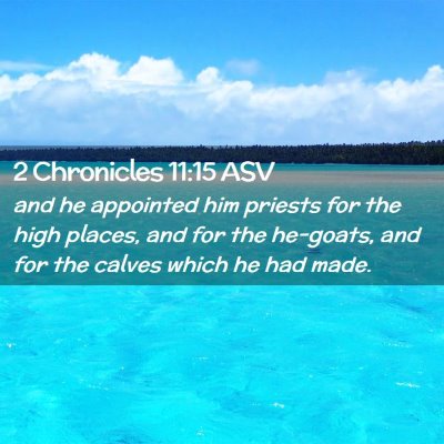 Picture 02 - 2 Chronicles 11:15 ASV - and he appointed him priests for the high places, - Bible Verse Picture