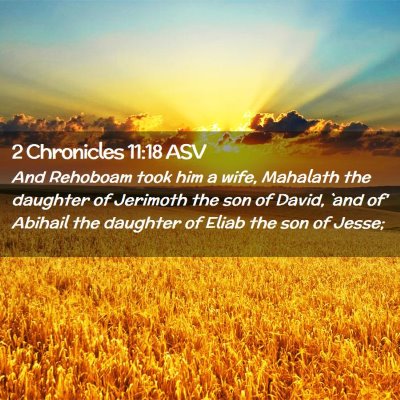 Picture 02 - 2 Chronicles 11:18 ASV - And Rehoboam took him a wife, Mahalath the - Bible Verse Picture