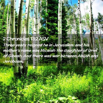 Picture 02 - 2 Chronicles 13:2 ASV - Three years reigned he in Jerusalem: and his - Bible Verse Picture