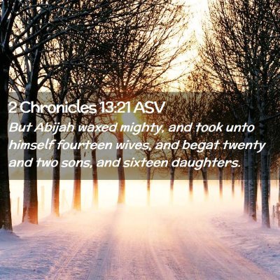 Picture 02 - 2 Chronicles 13:21 ASV - But Abijah waxed mighty, and took unto himself - Bible Verse Picture