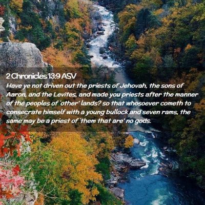 Picture 02 - 2 Chronicles 13:9 ASV - Have ye not driven out the priests of Jehovah, - Bible Verse Picture