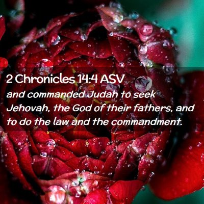 Picture 02 - 2 Chronicles 14:4 ASV - and commanded Judah to seek Jehovah, the God of - Bible Verse Picture