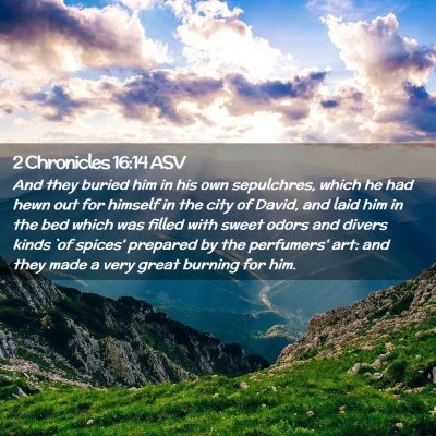 Picture 02 - 2 Chronicles 16:14 ASV - And they buried him in his own sepulchres, which - Bible Verse Picture
