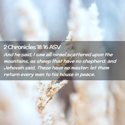 Picture 02 - 2 Chronicles 18:16 ASV - And he said, I saw all Israel scattered upon the - Bible Verse Picture