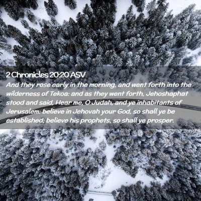 Picture 02 - 2 Chronicles 20:20 ASV - And they rose early in the morning, and went - Bible Verse Picture