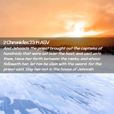 Picture 02 - 2 Chronicles 23:14 ASV - And Jehoiada the priest brought out the captains - Bible Verse Picture