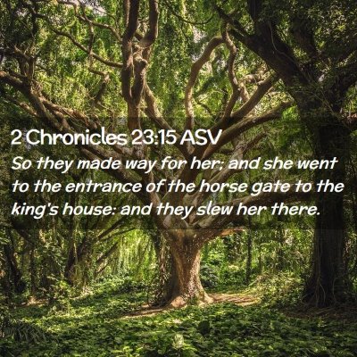 Picture 02 - 2 Chronicles 23:15 ASV - So they made way for her; and she went to the - Bible Verse Picture