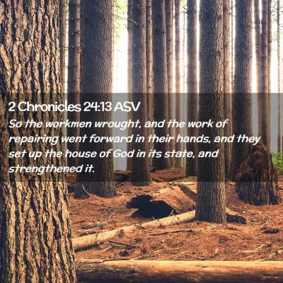 Picture 02 - 2 Chronicles 24:13 ASV - So the workmen wrought, and the work of repairing - Bible Verse Picture