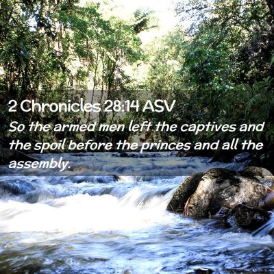 Picture 02 - 2 Chronicles 28:14 ASV - So the armed men left the captives and the spoil - Bible Verse Picture