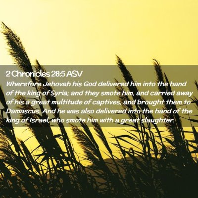 Picture 02 - 2 Chronicles 28:5 ASV - Wherefore Jehovah his God delivered him into the - Bible Verse Picture