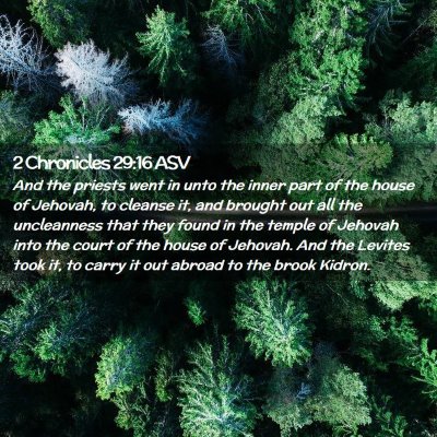 Picture 02 - 2 Chronicles 29:16 ASV - And the priests went in unto the inner part of - Bible Verse Picture