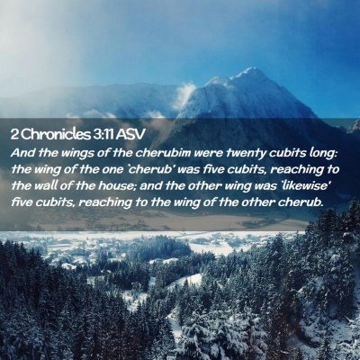 Picture 02 - 2 Chronicles 3:11 ASV - And the wings of the cherubim were twenty cubits - Bible Verse Picture