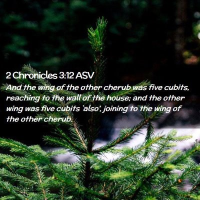 Picture 02 - 2 Chronicles 3:12 ASV - And the wing of the other cherub was five cubits, - Bible Verse Picture