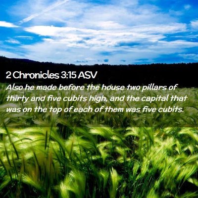 Picture 02 - 2 Chronicles 3:15 ASV - Also he made before the house two pillars of - Bible Verse Picture