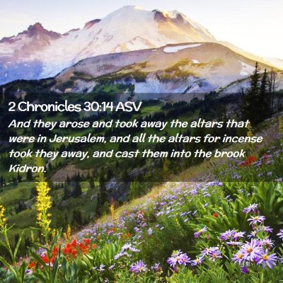 Picture 02 - 2 Chronicles 30:14 ASV - And they arose and took away the altars that were - Bible Verse Picture
