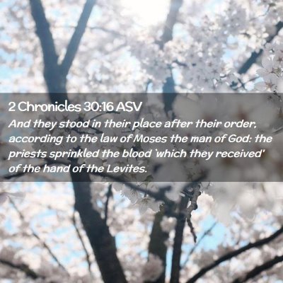 Picture 02 - 2 Chronicles 30:16 ASV - And they stood in their place after their order, - Bible Verse Picture