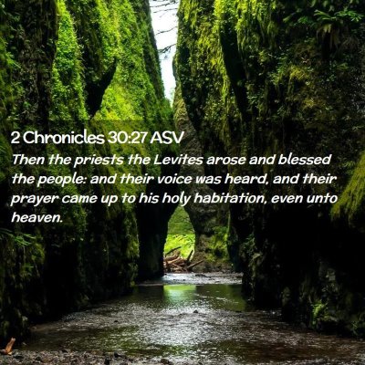 Picture 02 - 2 Chronicles 30:27 ASV - Then the priests the Levites arose and blessed - Bible Verse Picture