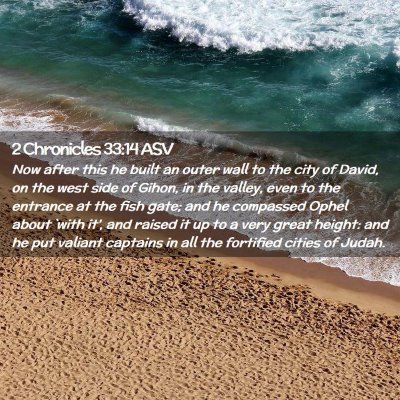 Picture 02 - 2 Chronicles 33:14 ASV - Now after this he built an outer wall to the city - Bible Verse Picture