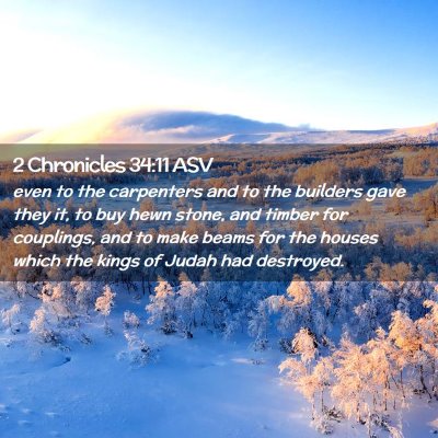Picture 02 - 2 Chronicles 34:11 ASV - even to the carpenters and to the builders gave - Bible Verse Picture