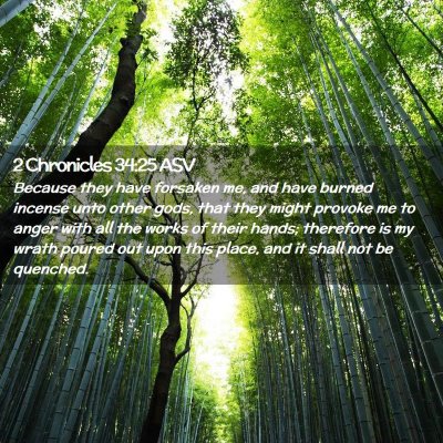 Picture 02 - 2 Chronicles 34:25 ASV - Because they have forsaken me, and have burned - Bible Verse Picture