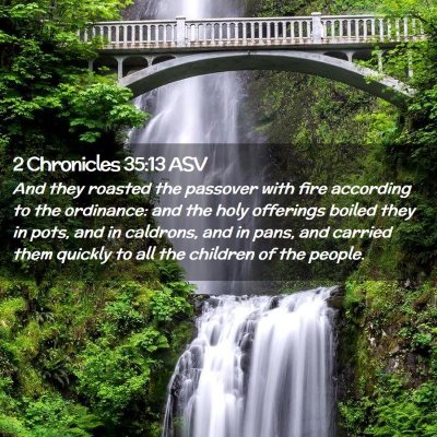 Picture 02 - 2 Chronicles 35:13 ASV - And they roasted the passover with fire according - Bible Verse Picture
