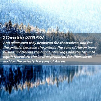 Picture 02 - 2 Chronicles 35:14 ASV - And afterward they prepared for themselves, and - Bible Verse Picture