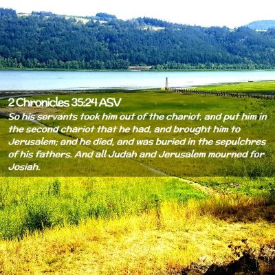 Picture 02 - 2 Chronicles 35:24 ASV - So his servants took him out of the chariot, and - Bible Verse Picture