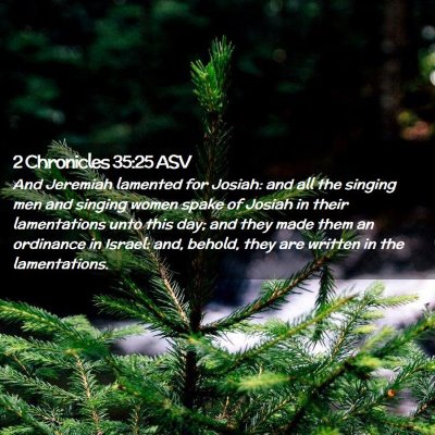 Picture 02 - 2 Chronicles 35:25 ASV - And Jeremiah lamented for Josiah: and all the - Bible Verse Picture
