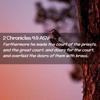 Picture 02 - 2 Chronicles 4:9 ASV - Furthermore he made the court of the priests, and - Bible Verse Picture
