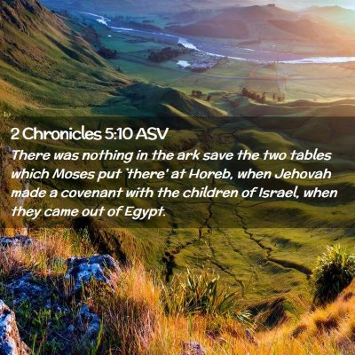Picture 02 - 2 Chronicles 5:10 ASV - There was nothing in the ark save the two tables - Bible Verse Picture