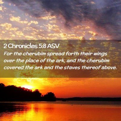 Picture 02 - 2 Chronicles 5:8 ASV - For the cherubim spread forth their wings over - Bible Verse Picture